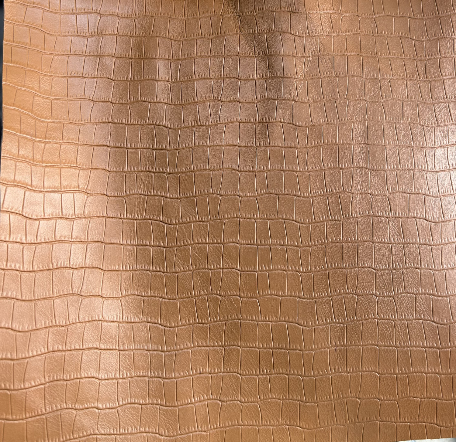 Tan Alligator Belly Print Embossed on Cow Hides: TA001C