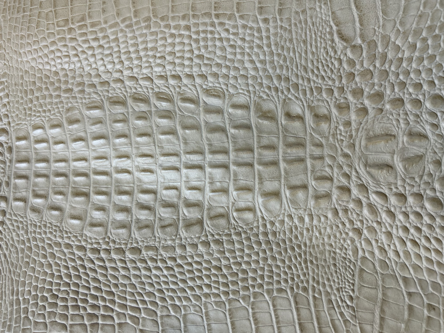 Tan Croc Back Print Embossed on Cow Hides: TC001C