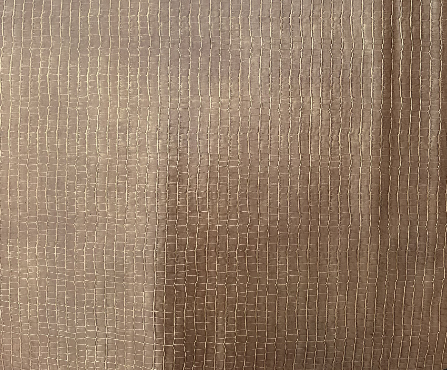 Light Brown Alligator Belly Print Embossed on Cow Hides: EA003C