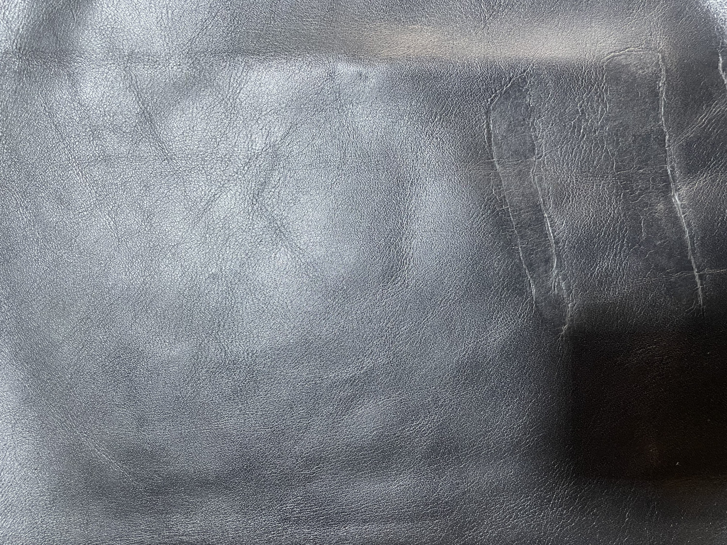 Black Plain Print Embossed on Cow Hides: BP001C