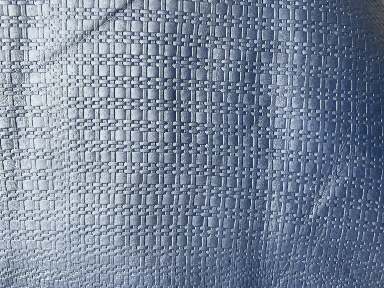 Blue Basket Print Embossed on Calf Hides: AJ001CA