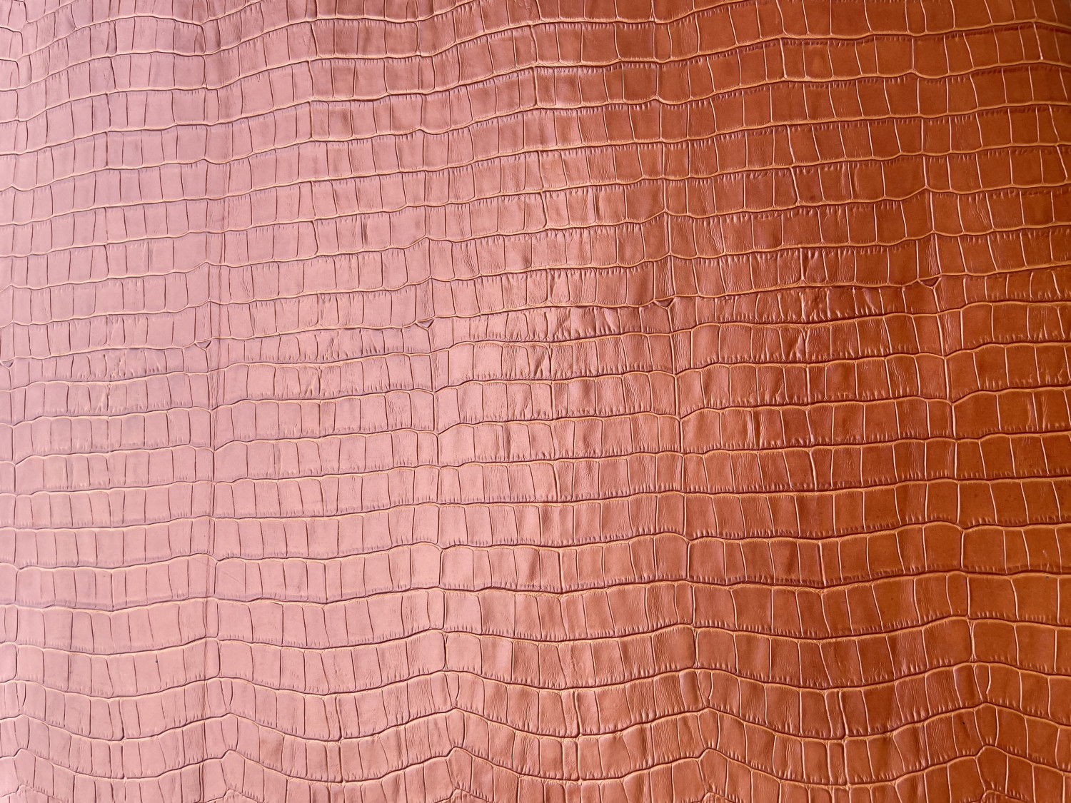 Light Brown Alligator Belly Print Embossed on Cow Hides: EA010C