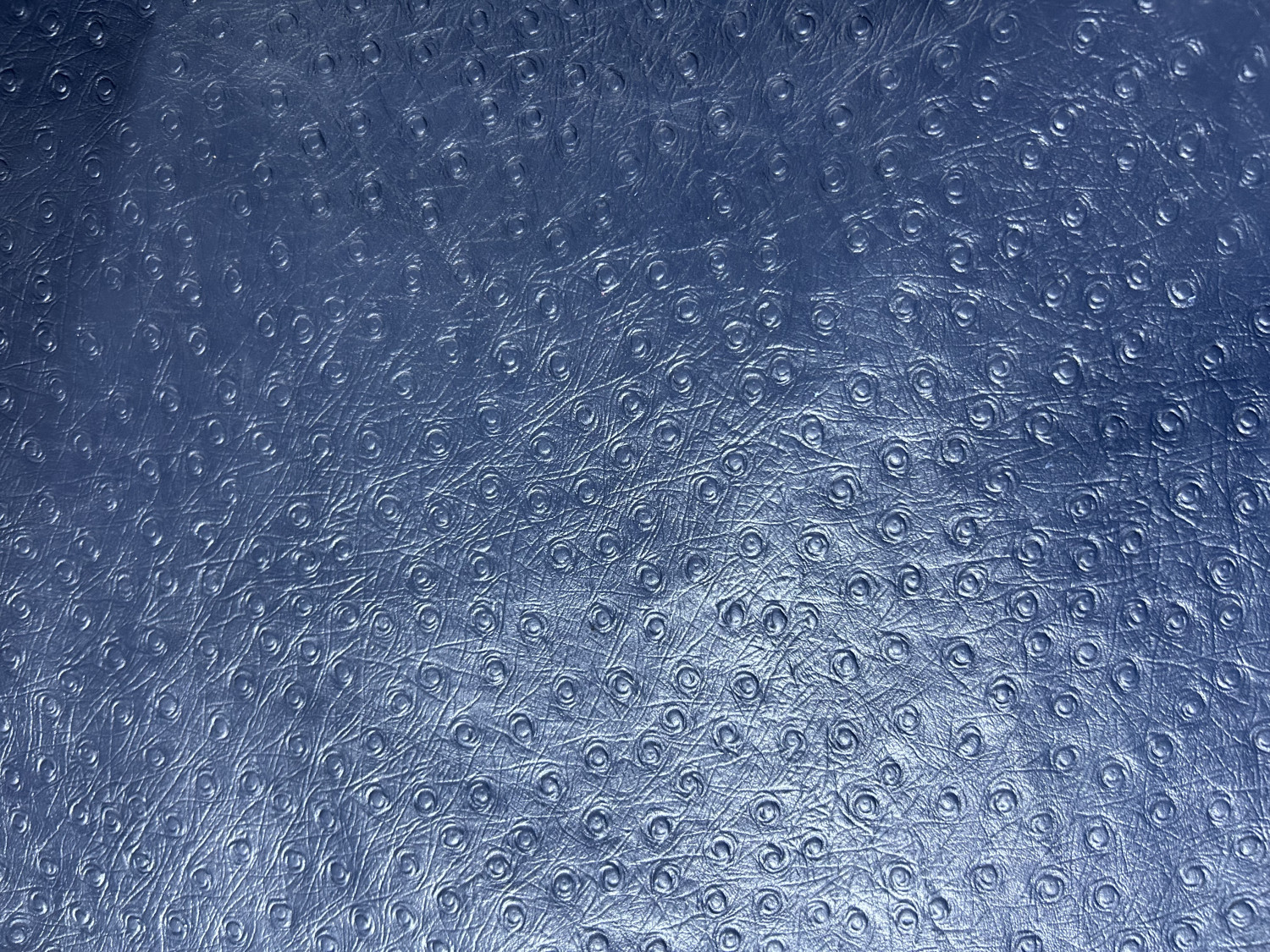 Blue Ostrich Print Embossed on Cow Hides: AO002C