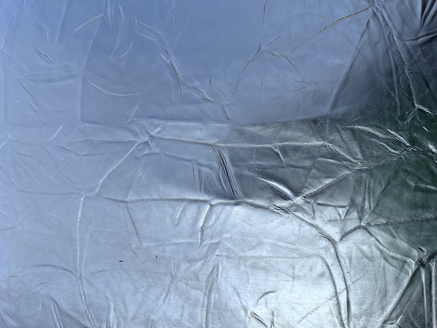 Black Abstract Print Embossed on Cow Hides: BI005C