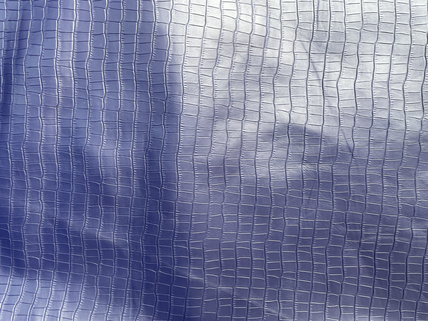 Blue Alligator Belly Print Embossed on Cow Hides: AA006C