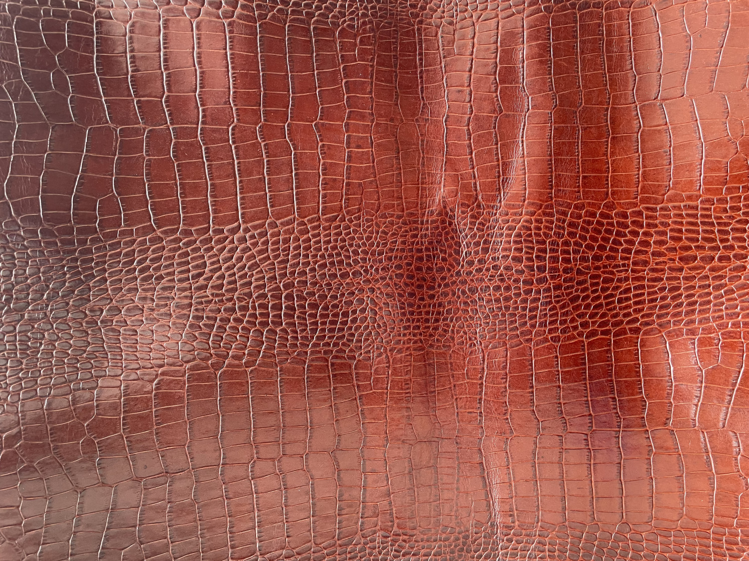 Dark Brown Crocodile Belly Print Embossed on Cow Hides: DA009C