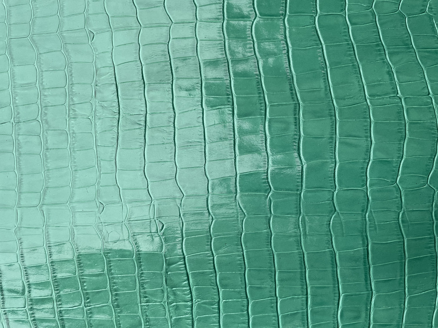 Green Alligator Belly Print Embossed on Cow Hides: GA007C