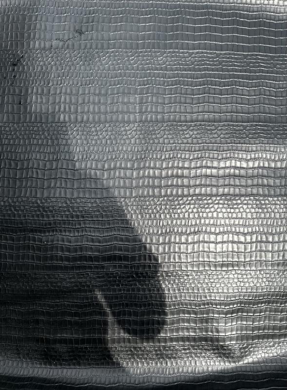 Black Crocodile Belly Print Embossed on Cow Skin :BB004C