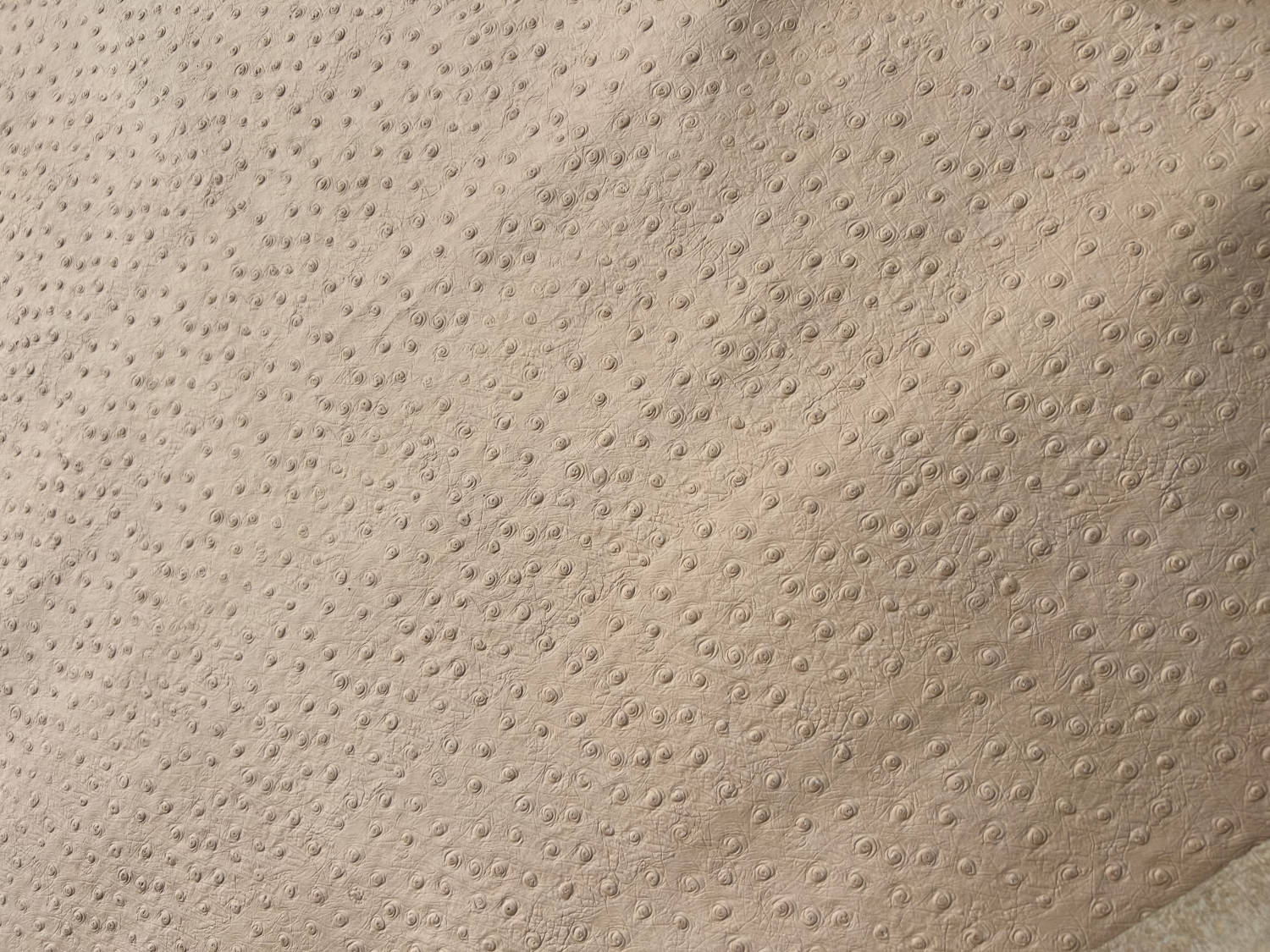 Cream Ostrich Print Embossed on Cow Hides: CO001C
