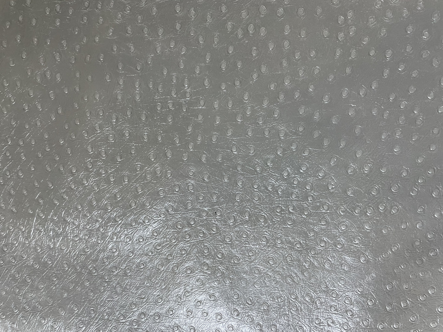 Gray Ostrich Print Embossed on Cow Hides: HO001C