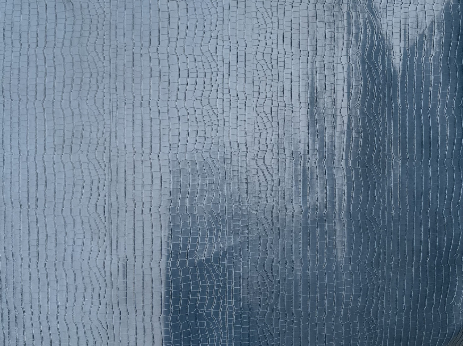 Blue Alligator Belly Print Embossed on Calf Hides: AA003C