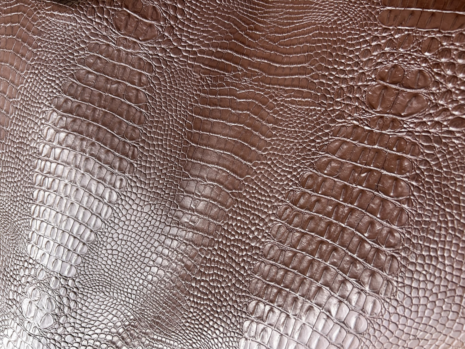 Dark Brown Crocodile Back Print Embossed on Cow Hides: DC004C