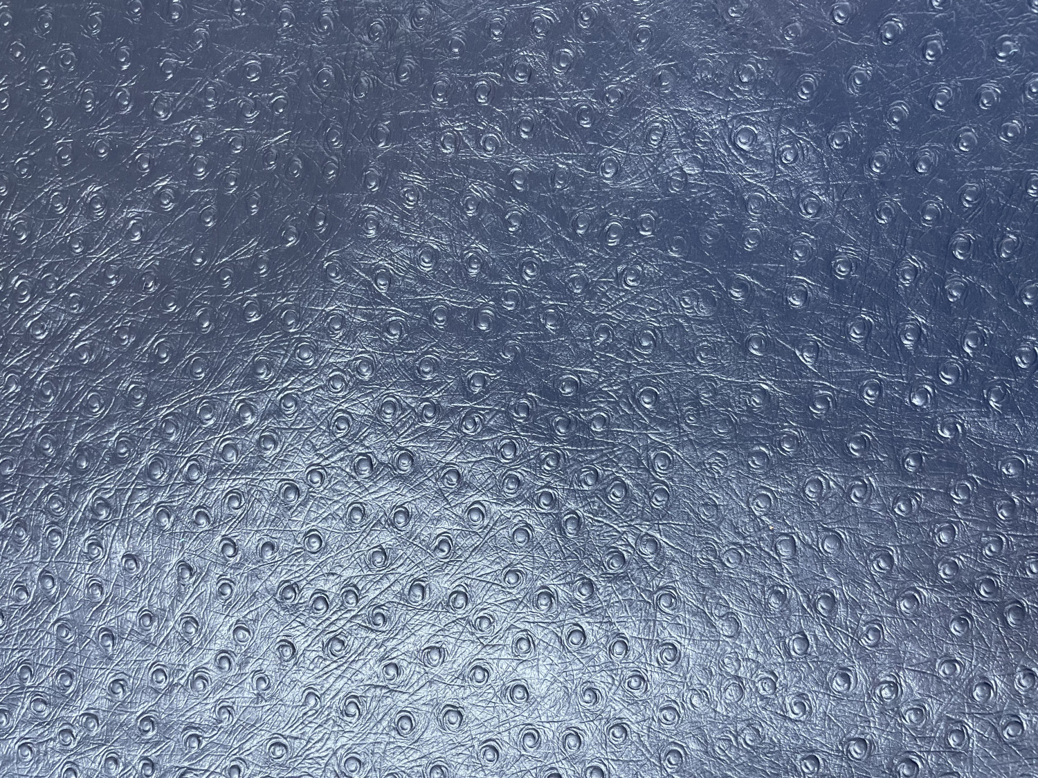 Blue Ostrich Print Embossed on Cow Hides: AO001C