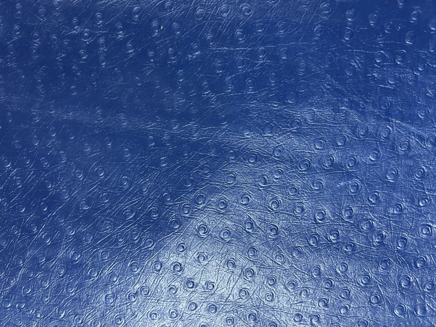 Blue Ostrich Print Embossed on Cow Hides: AO006C
