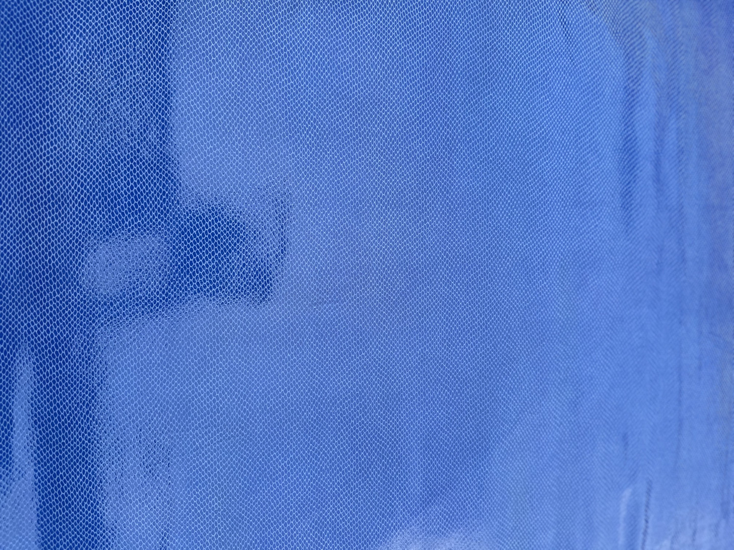 Blue Reptilian Print Embossed on Snake Skin: AR001S