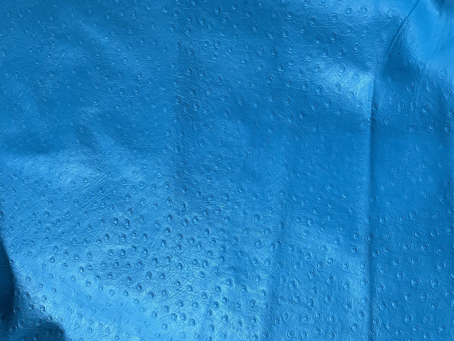 Blue Ostrich Print Embossed on Cow Hides: AO003C