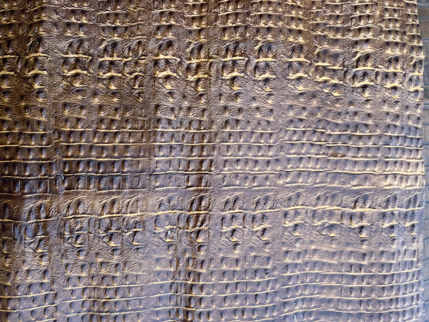 Dark Brown Crocodile Back Print Embossed on Cow Hides: DC007C