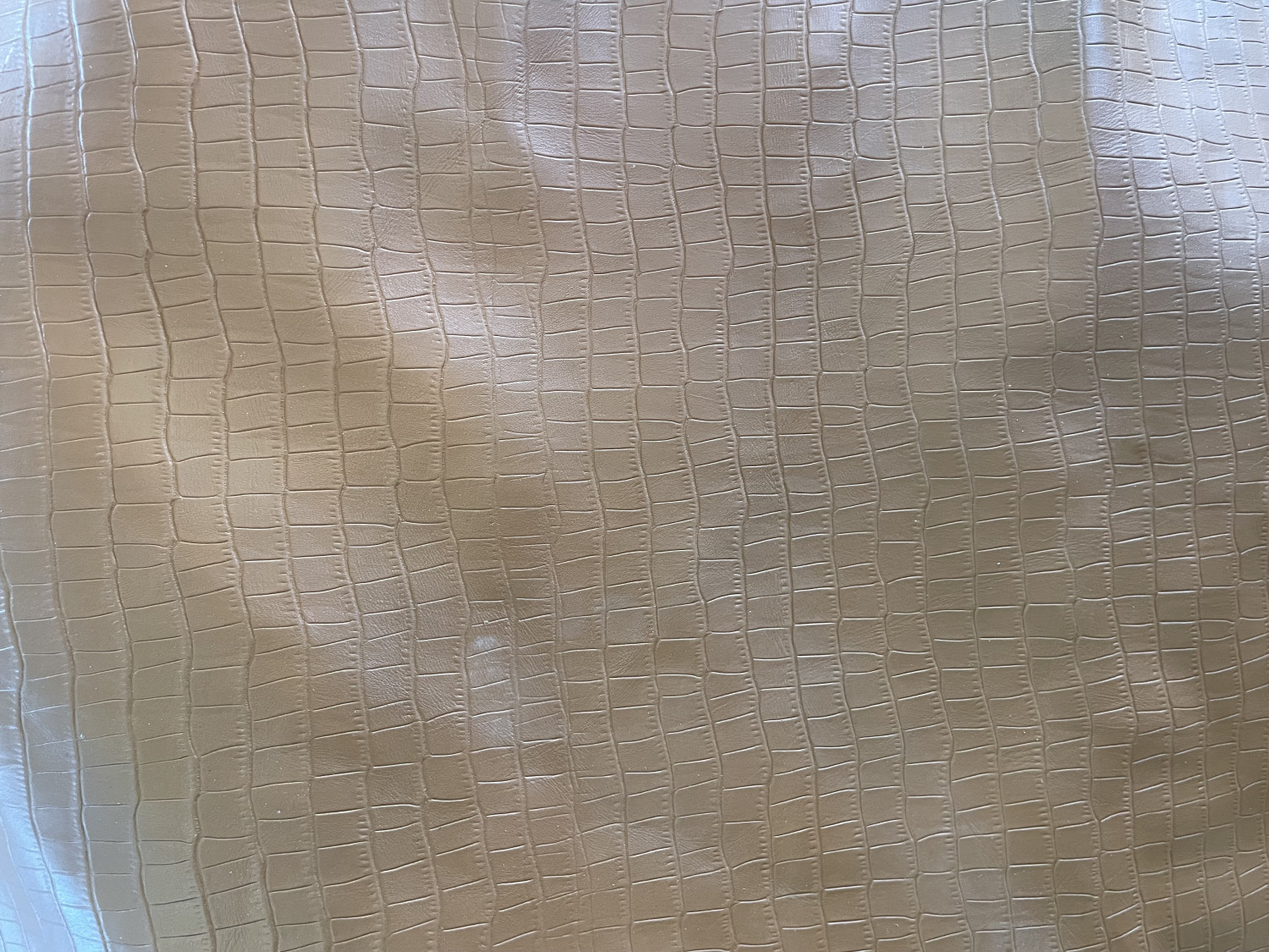 Light Brown Alligator Belly Print Embossed on Cow Hides: EA002C