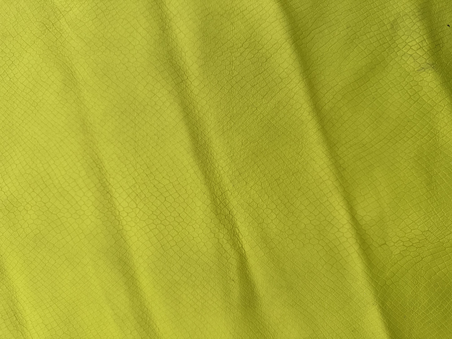 Yellow Reptilian Print Embossed on Snake Skin: YR001S