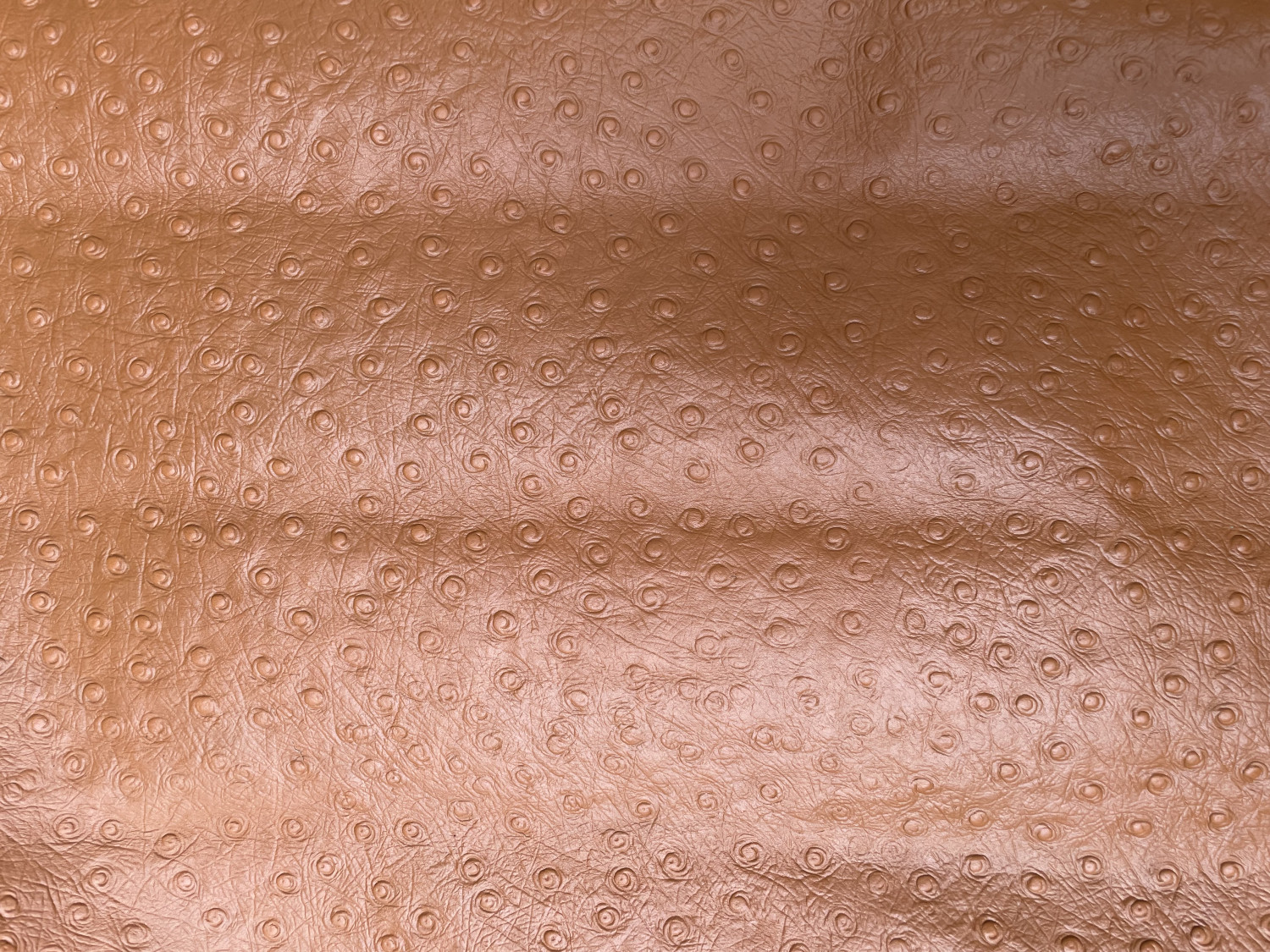 Light Brown Ostrich Print Embossed on Cow Hides: EO001C
