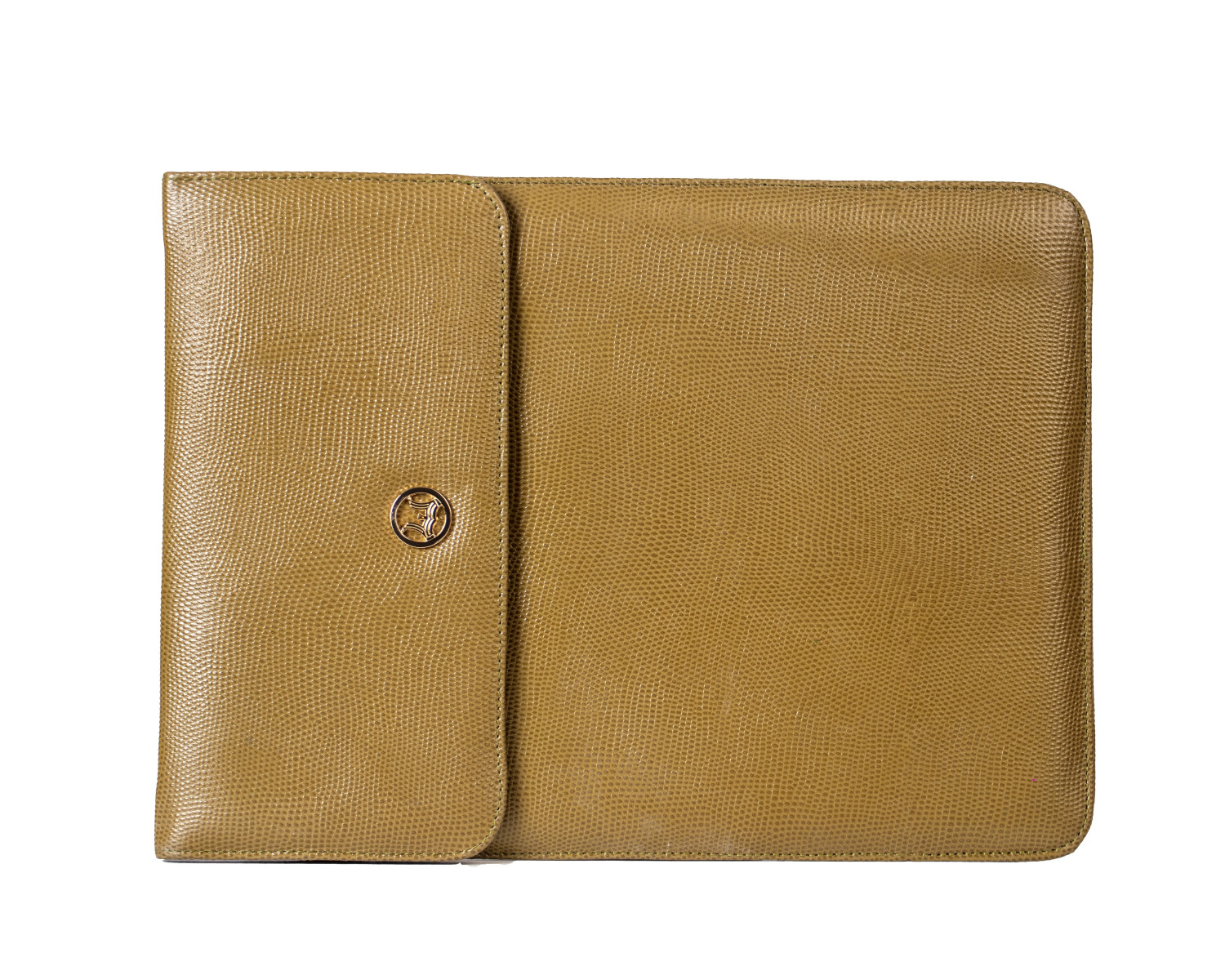 Laptop Sleeve Micro: Olive Monitor Lizard Print