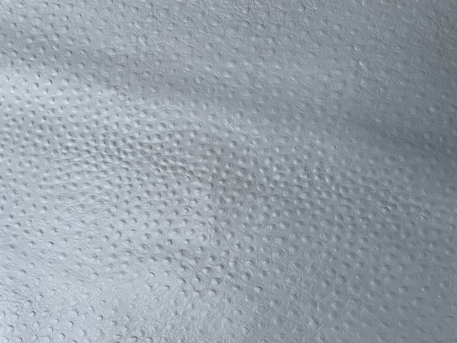 White Ostrich Print Embossed on Cow Hides: WO001C