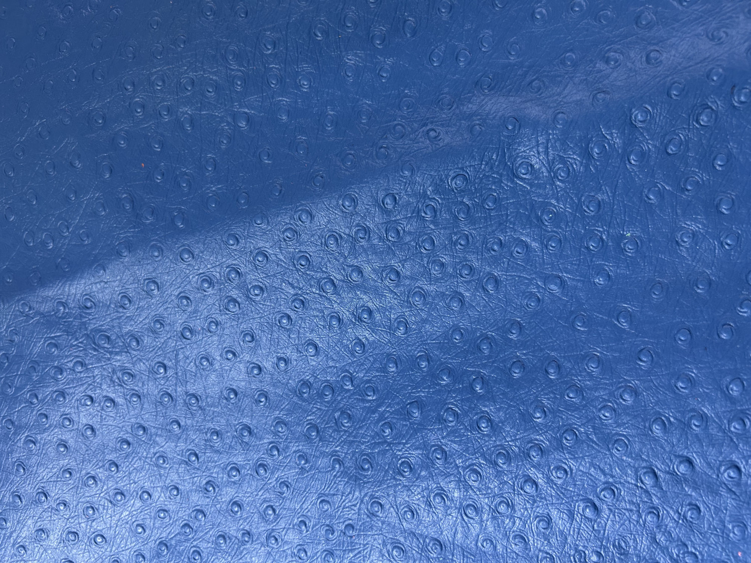 Blue Ostrich Print Embossed on Cow Hides: AO005C