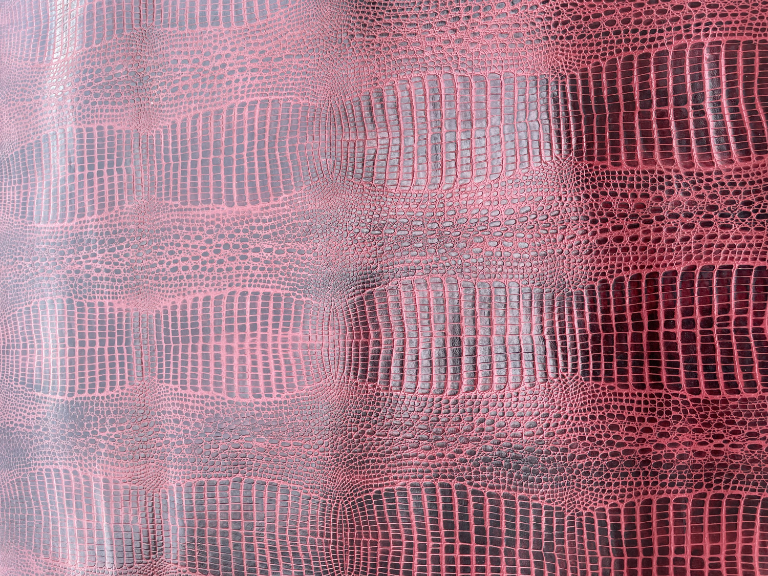 Multicolored x Burgundy Croc Belly Print Embossed on Goat Skin: MXB001G