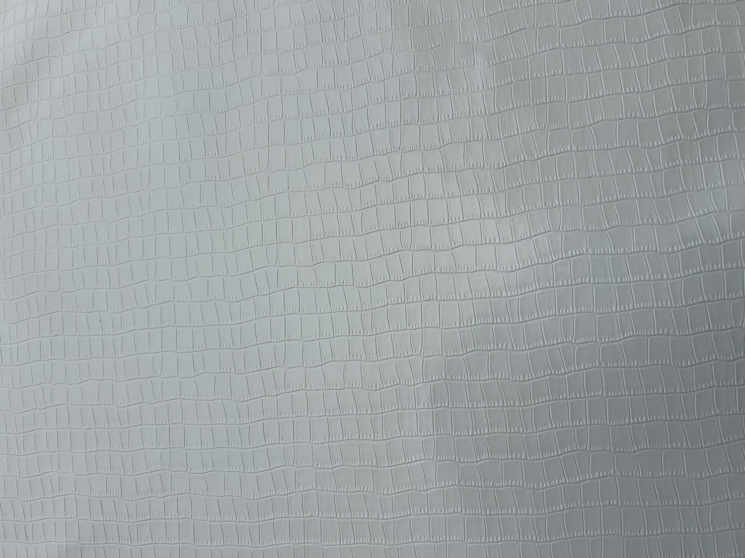 White Alligator Belly Print Embossed on Cow Hides: WA002C