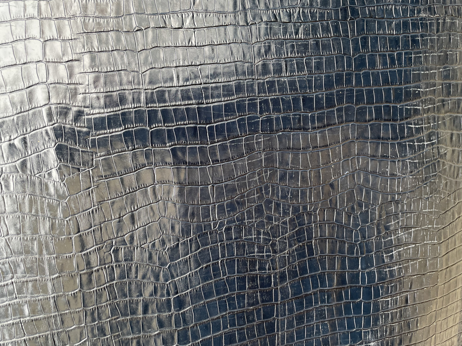 Blue Alligator Belly  Print Embossed on Cow Hides: AA005C