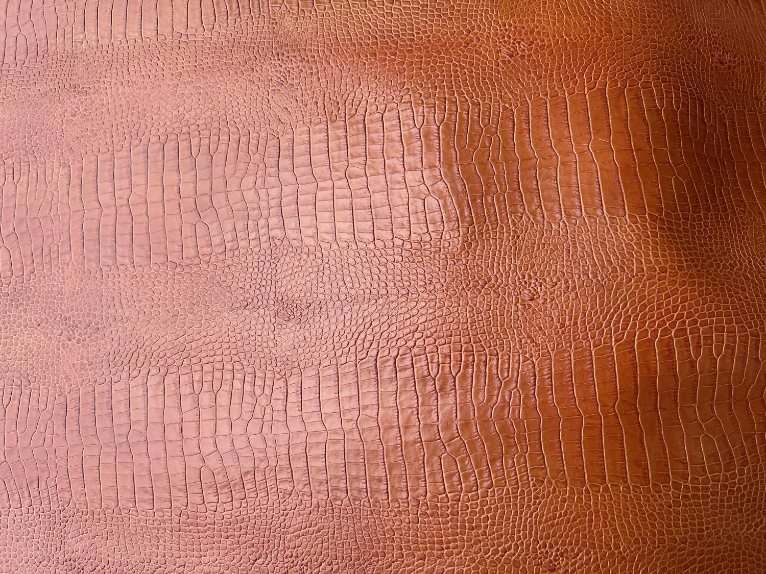 Light Brown Croc Belly  Print Embossed on Cow Hides: EB003C