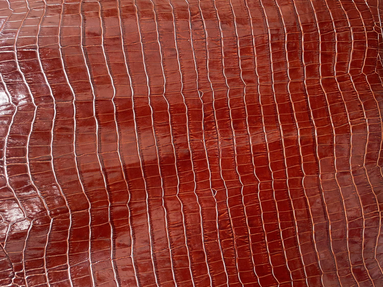 Dark Brown Alligator Belly Print Embossed on Cow Hides: DA010C