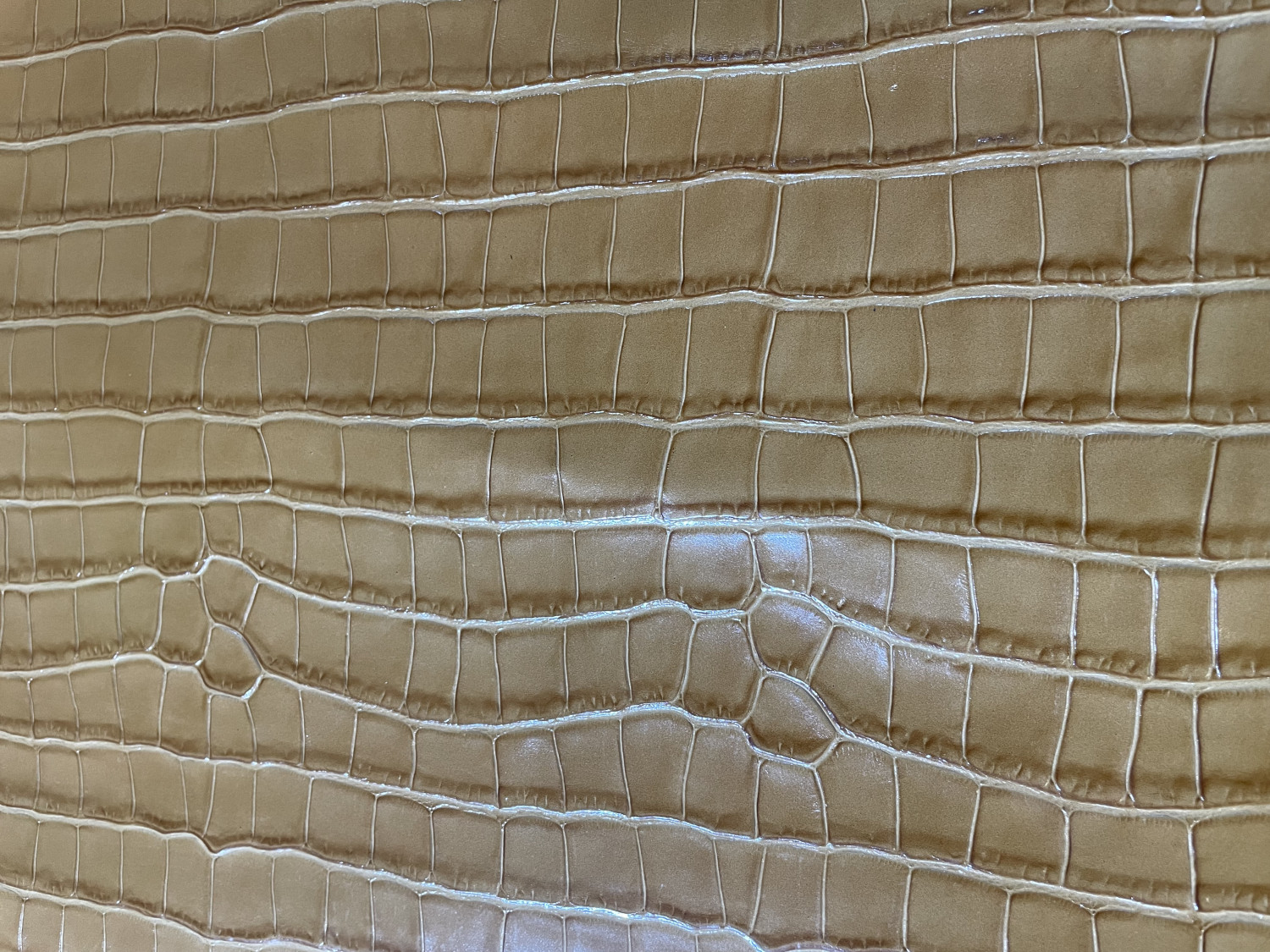 Light Brown Print Embossed on Cow Hides: EB004C