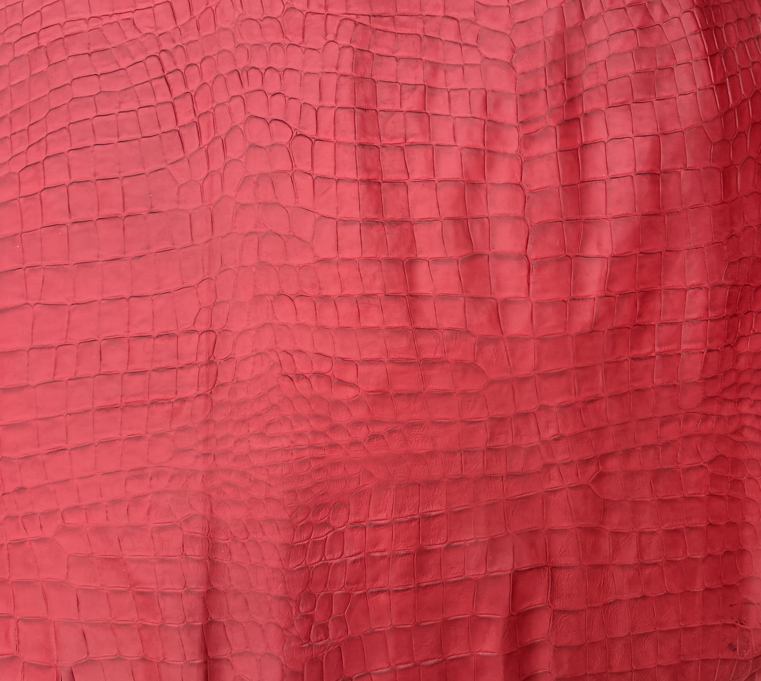 Red Croc Belly Print Embossed on Cow Hides: RB001C