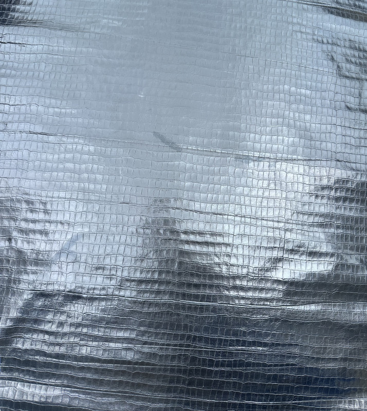 Blue Alligator Belly Print Embossed on Cow Hides: AA001C