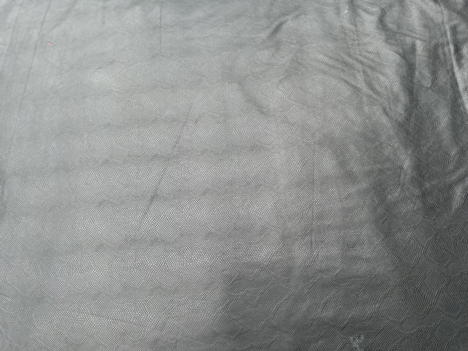 Black Snake Back Print Embossed on Calf Hides: BS001CA