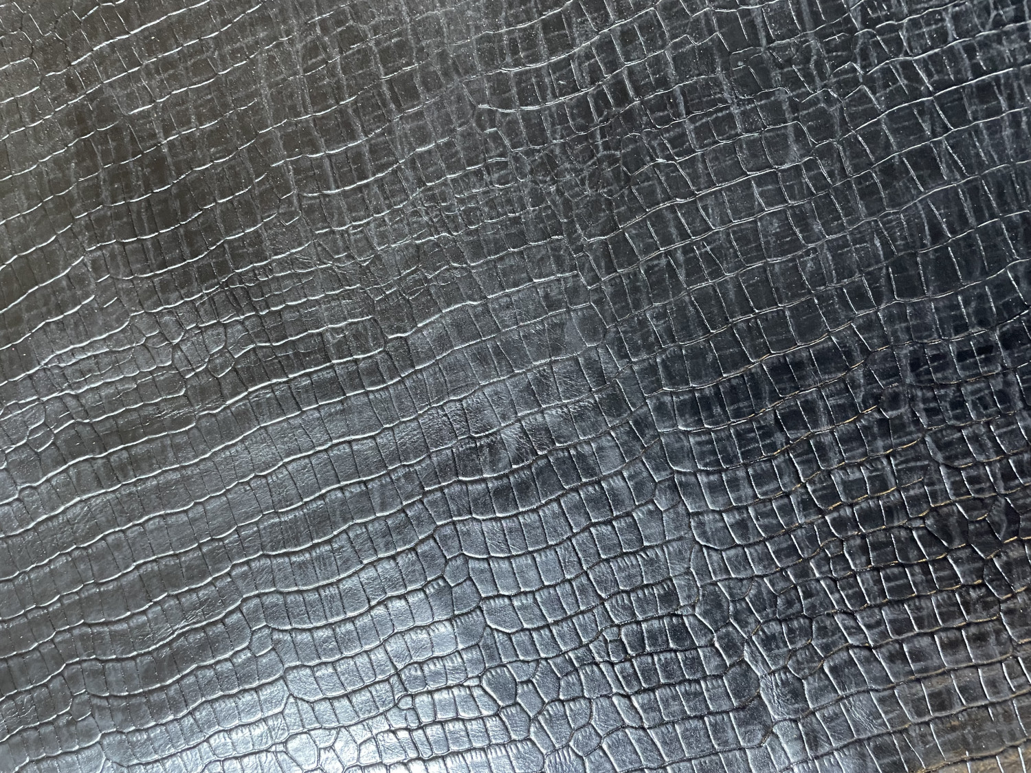 Black Alligator Belly Print Embossed on Cow Hides: BA007C