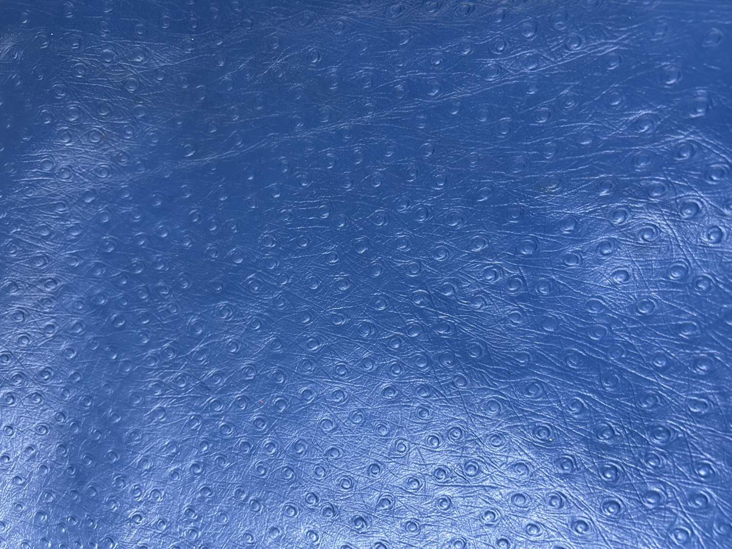 Blue Ostrich Print Embossed on Cow Hides: AO004C