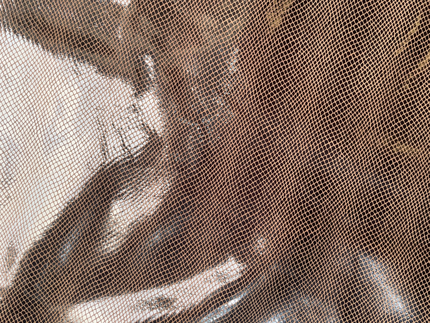 Metallic Dark Brown Snake Belly Print Embossed on Calf Hides: VDS001CA