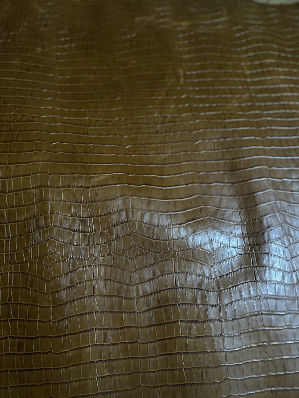 Light Brown Alligator Belly Print Embossed on Cow Hides: EA004C